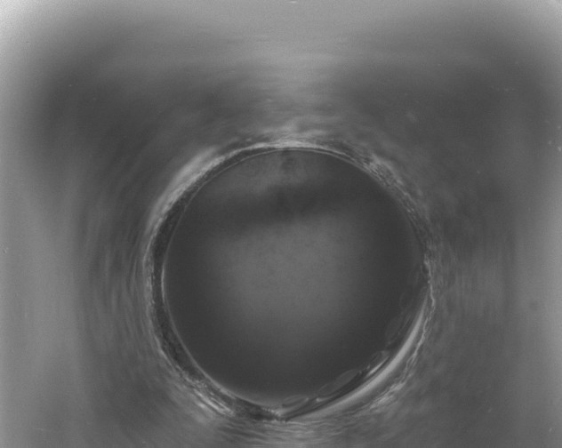 X0000060810295200511171315