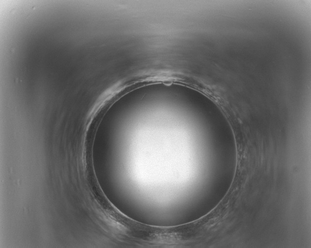 X0000060810296200511171315