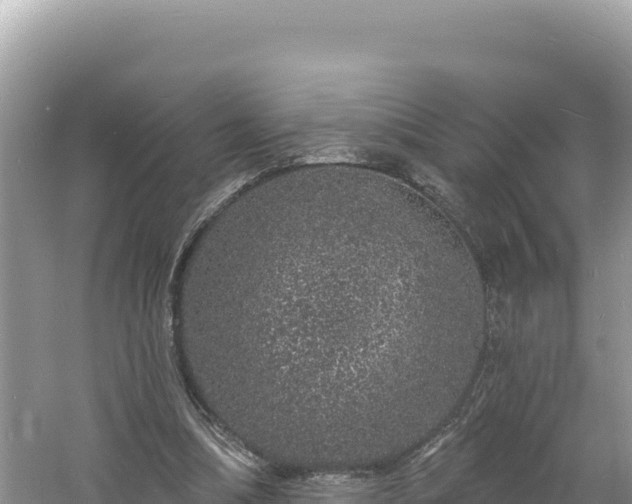 X0000060810298200511171315