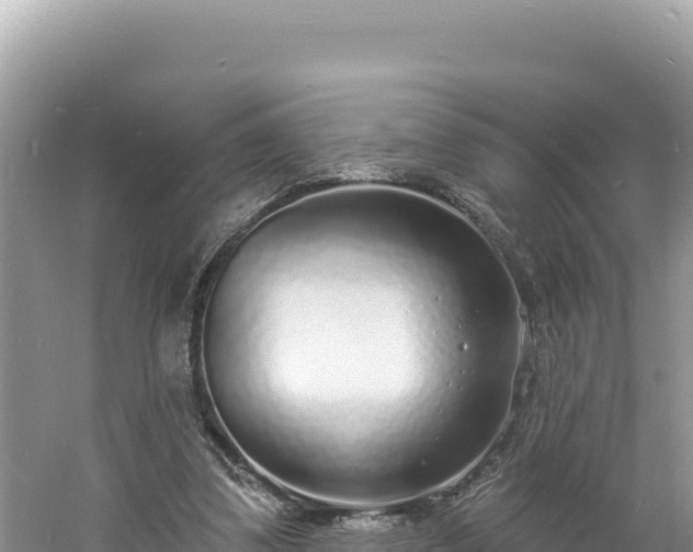 X0000060810299200511171315