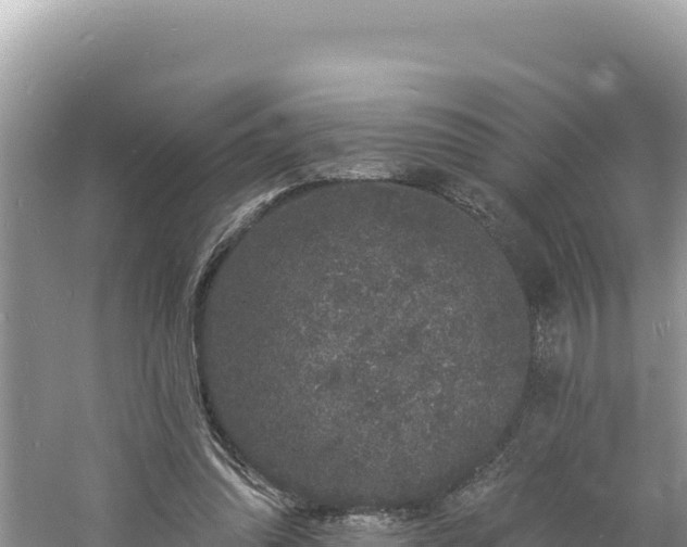 X0000060810302200511171315