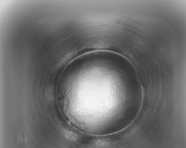 X0000060810303200511171315