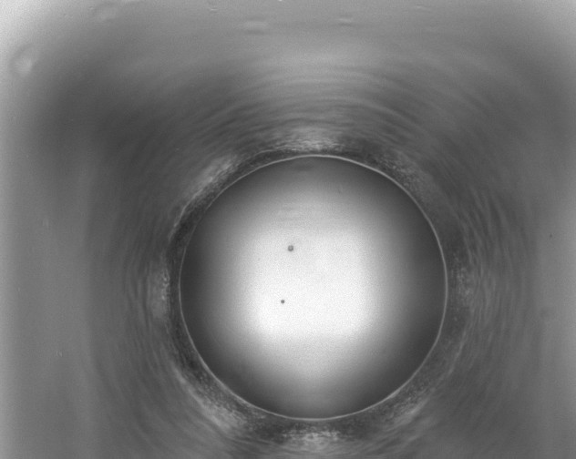 X0000060810304200511171315