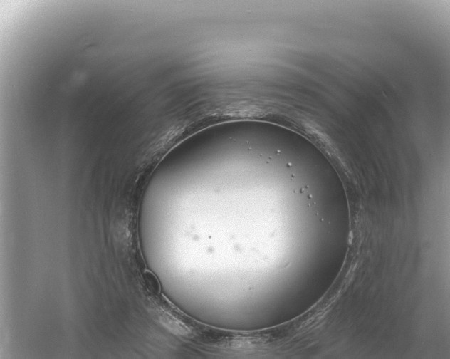 X0000060810305200511171315