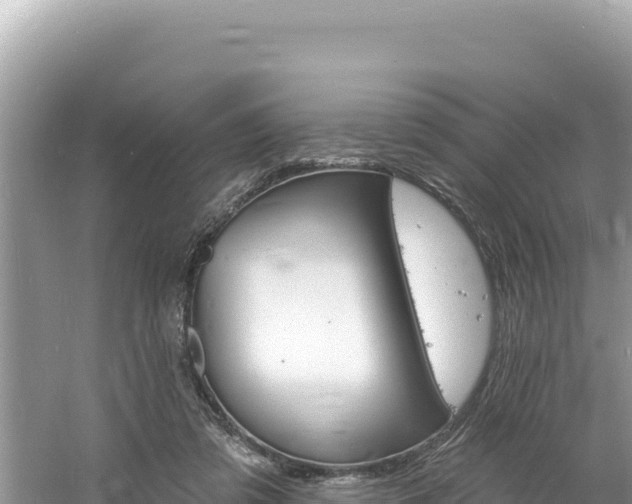 X0000060810309200511171315