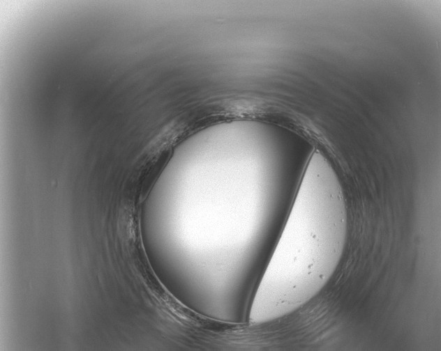 X0000060810313200511171315