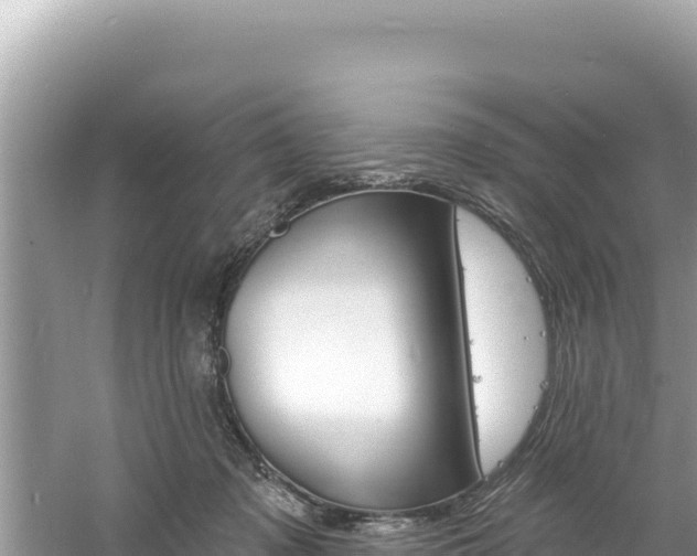 X0000060810317200511171315