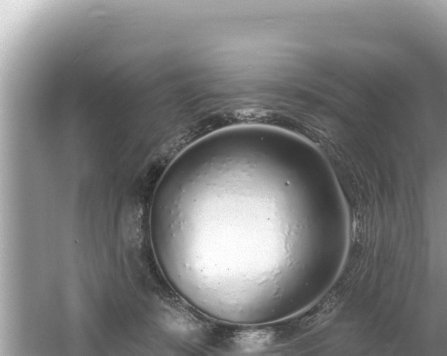 X0000060810319200511171315