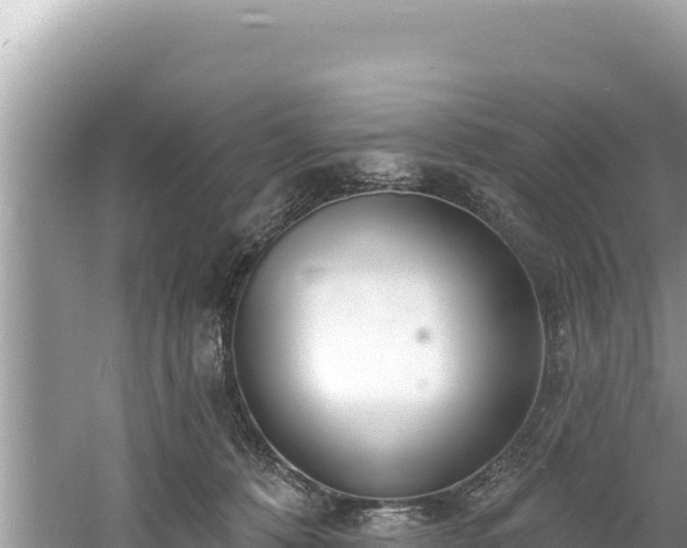 X0000060810320200511171315