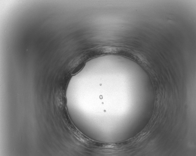 X0000060810325200511171315