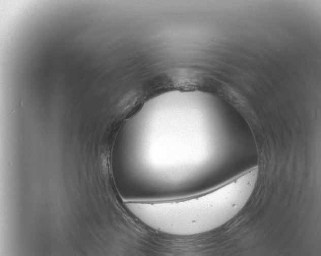 X0000060810329200511171315