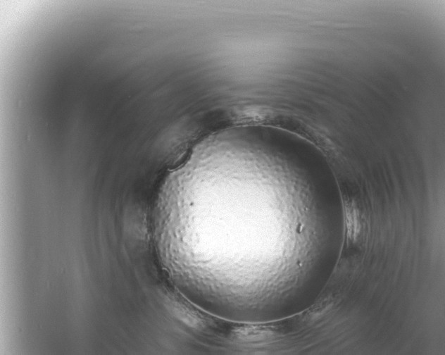 X0000060810331200511171315