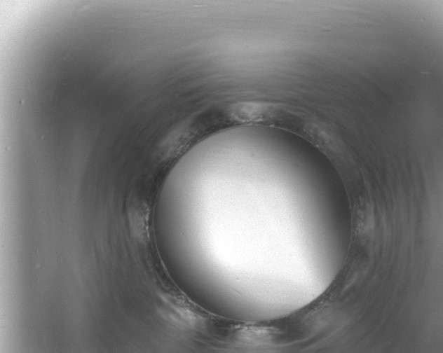 X0000060810332200511171315