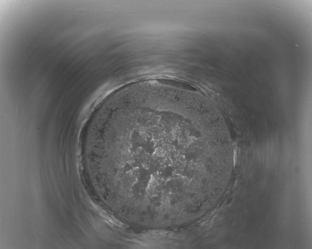 X0000060810339200511171314