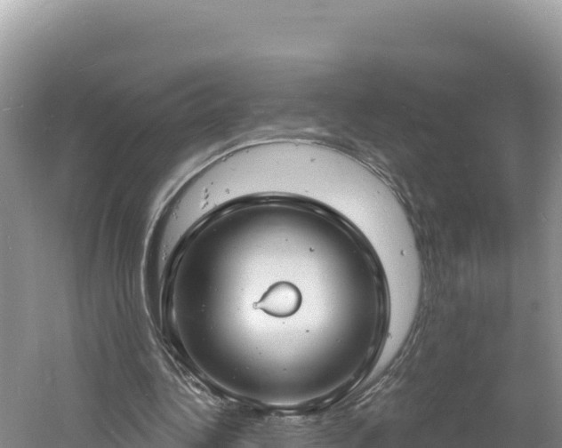 X0000060810340200511171314