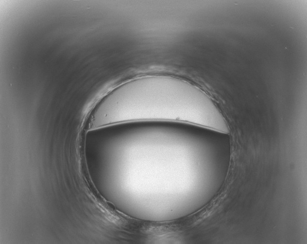 X0000060810341200511171314