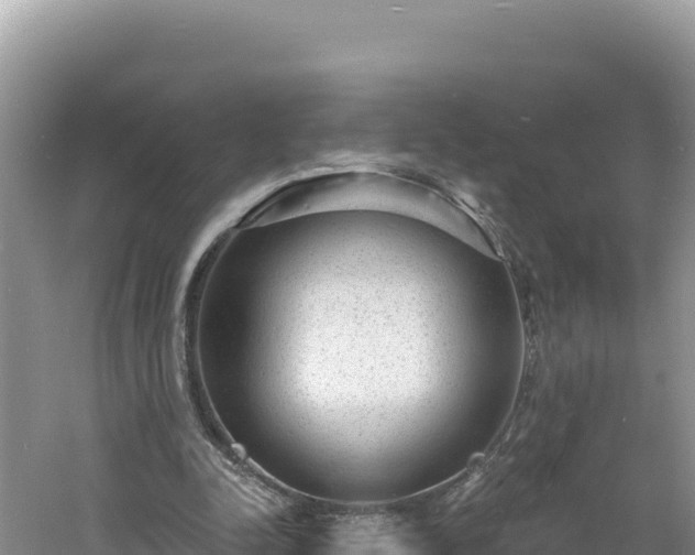 X0000060810342200511171314