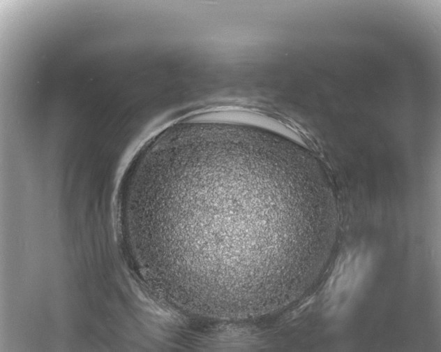 X0000060810343200511171314