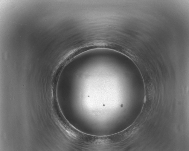 X0000060810350200511171314