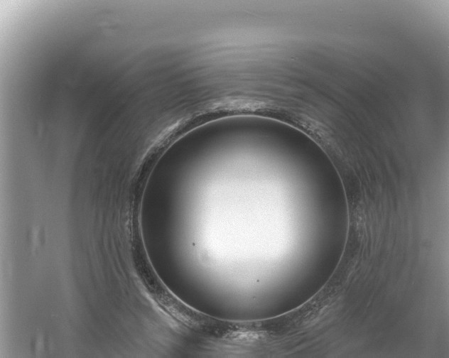 X0000060810352200511171314