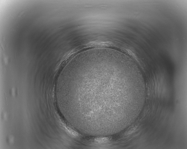 X0000060810357200511171314