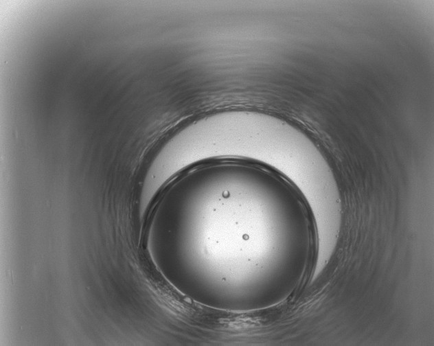 X0000060810359200511171314