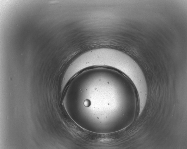 X0000060810360200511171314