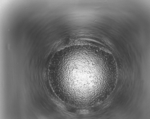 X0000060810361200511171314