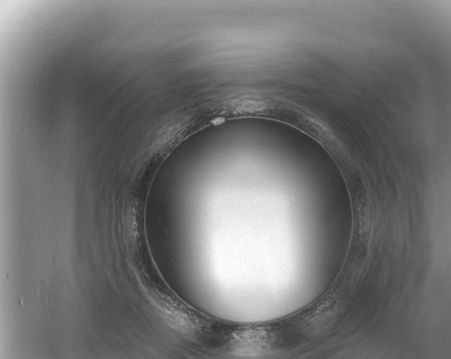 X0000060810362200511171314