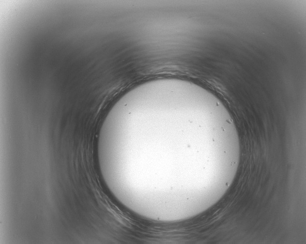 X0000060810365200511171314