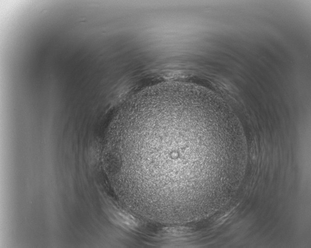 X0000060810367200511171314