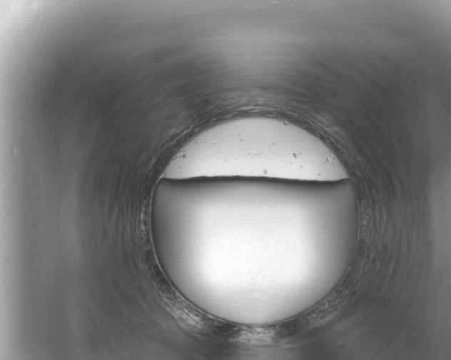 X0000060810369200511171315