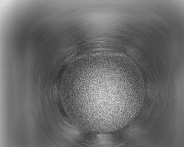 X0000060810371200511171315