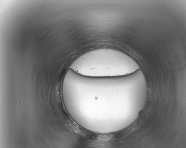 X0000060810373200511171315