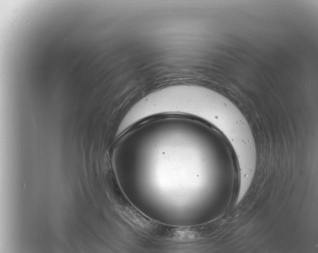 X0000060810376200511171315