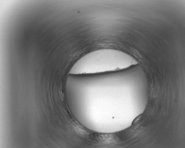 X0000060810377200511171315