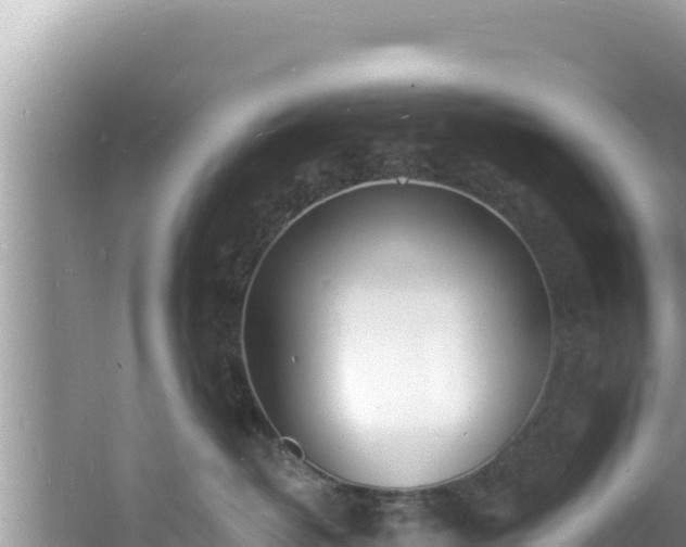 X0000060810382200511171315