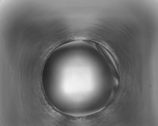 X0000060810385200511171314