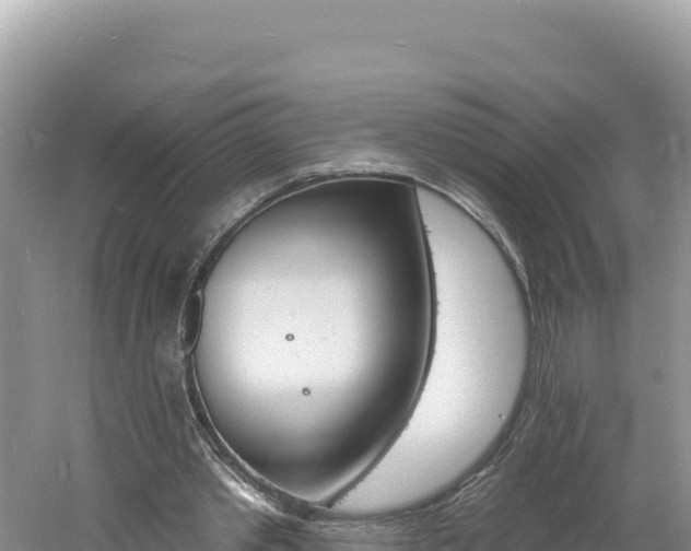 X0000060810389200511171314