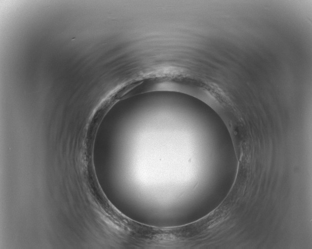 X0000060810392200511171314