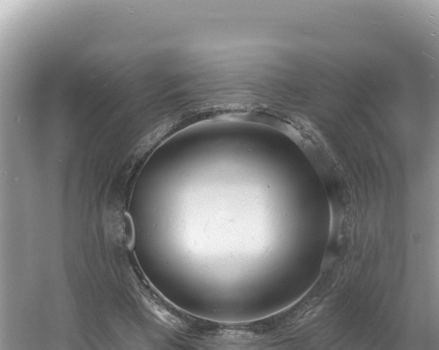 X0000060810393200511171314