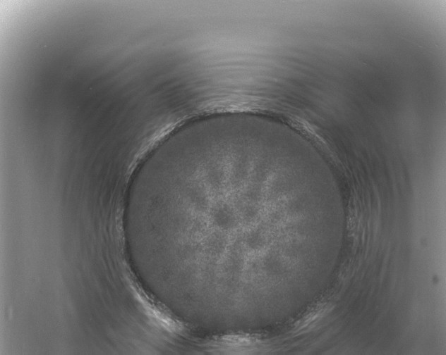 X0000060810394200511171314