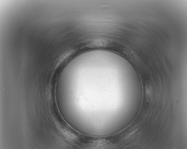 X0000060810396200511171314