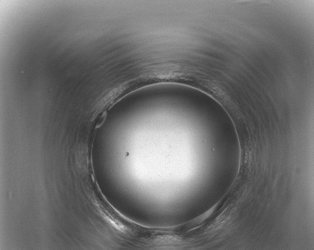 X0000060810397200511171314