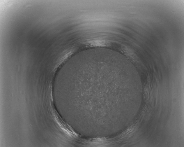 X0000060810398200511171314