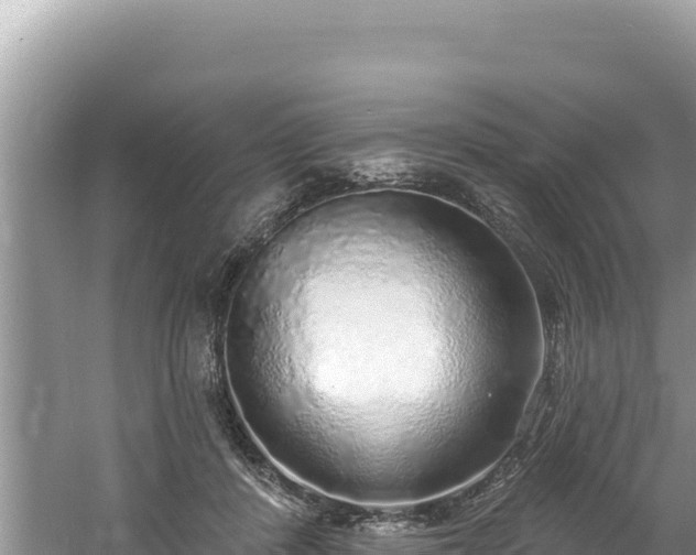 X0000060810408200511171314