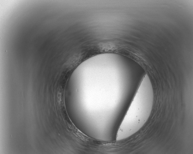 X0000060810417200511171313