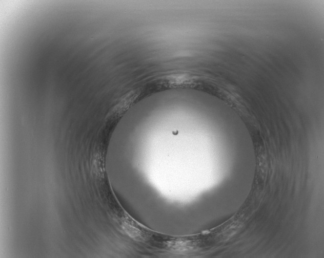 X0000060810419200511171313