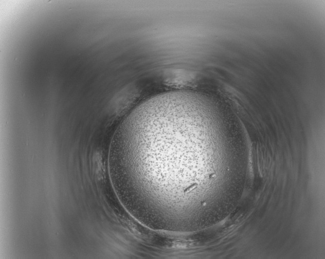 X0000060810420200511171313