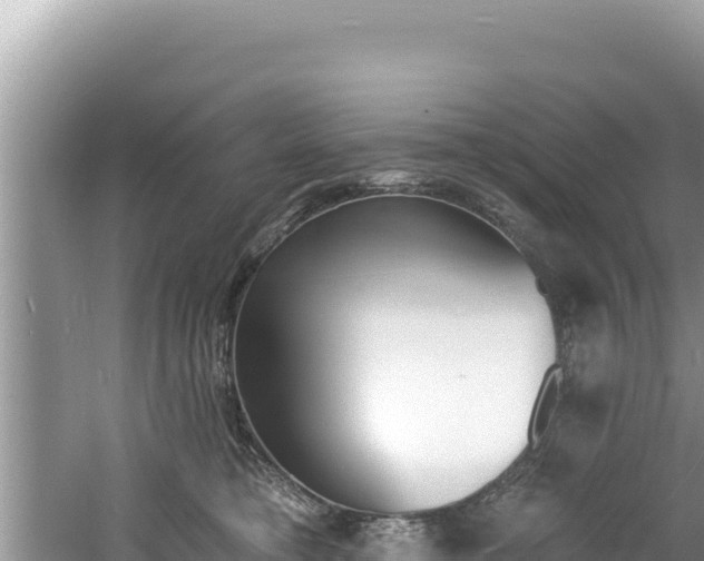 X0000060810421200511171313